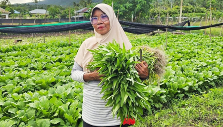 KANGKUNG MENGANDUNG NUTRISI DAN GIZI