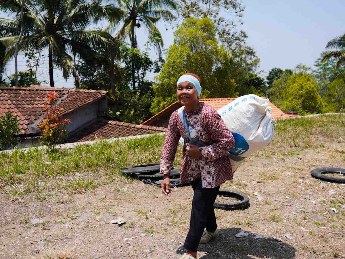 GENDONG RUMPUT UNTUK PAKAN TERNAK