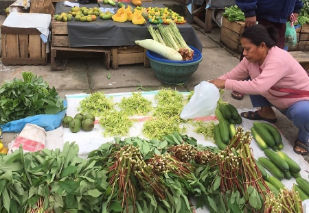PENJUAL SAYUR di PASAR LANGGUR