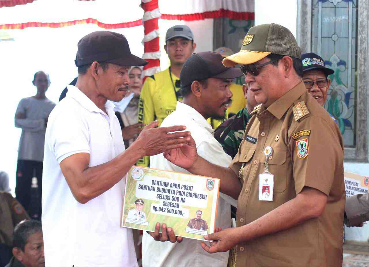 BANTUAN BUDIDAYA PADI BIOPRESISI