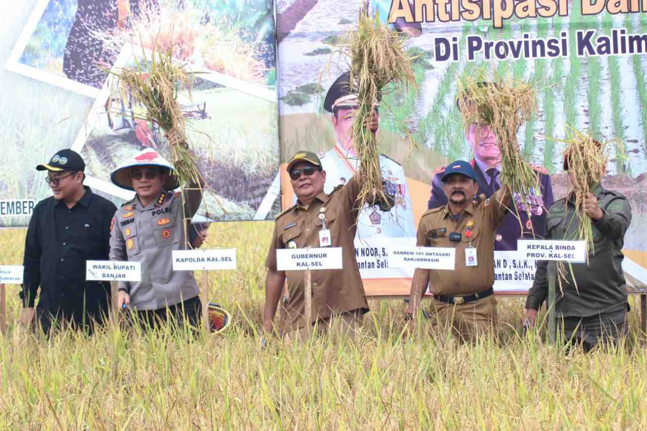 ANGKAT PADI HASIL PANEN