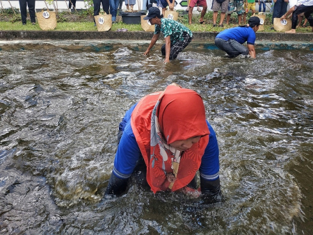 LOMBA MANGARUHI 