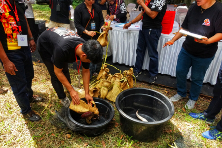 LOMBA MANGARUHI FBIM