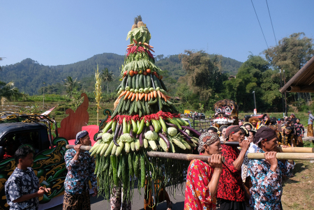 TRADISI MANTEN TEMBAKAU DI GUNUNG SUMBING