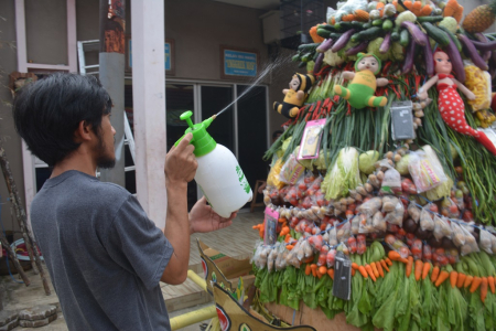 SEMPROT GUNUNGAN SAYUR