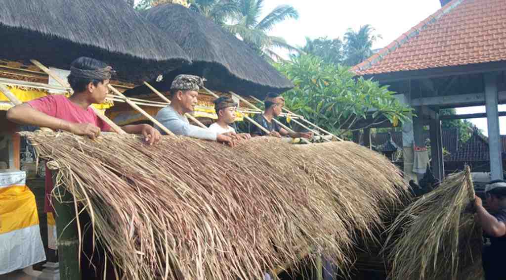 PASANG ATAP ALANG-ALANG