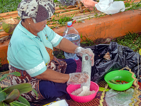 PARUT KELAPA