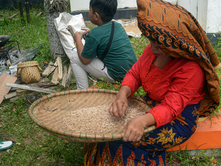 BERSIHKAN BERAS KETAN