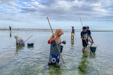 TRADISI PINDOKO TOMBAK IKAN