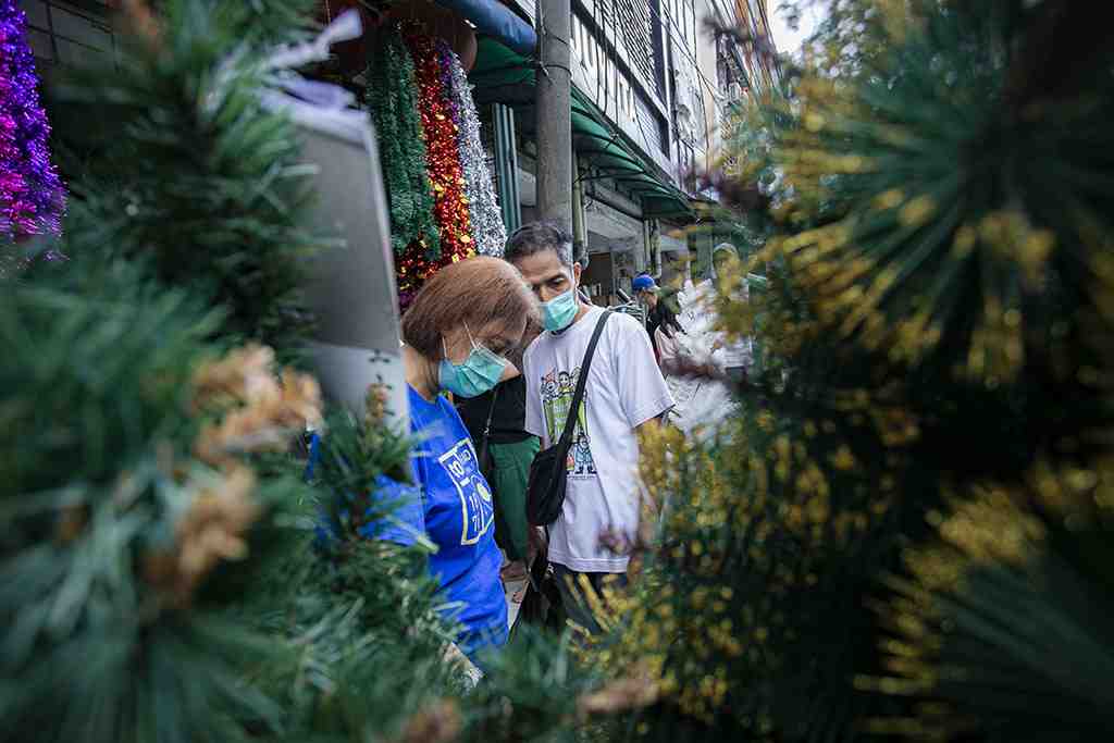 PILIH POHON NATAL