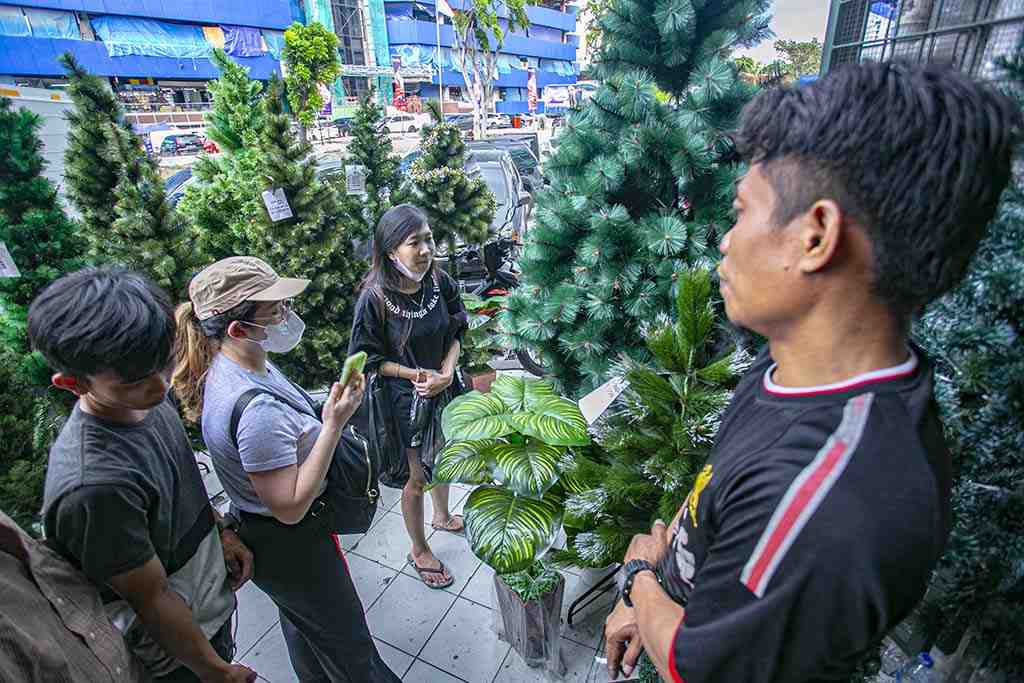 PILIH POHON NATAL