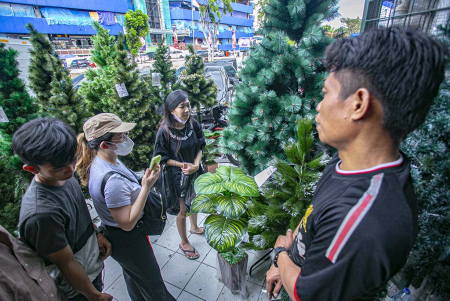 PILIH POHON NATAL