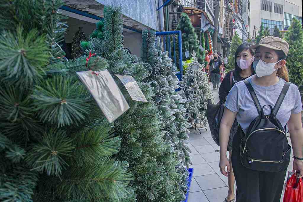 PILIH POHON NATAL