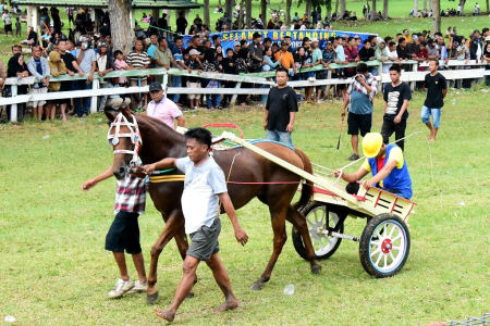JUARA PACUAN KUDA GEROBAK