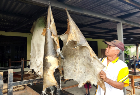 KULIT KAMBING KERING