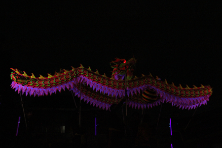 PENAMPILAN LIONG FOSFOR