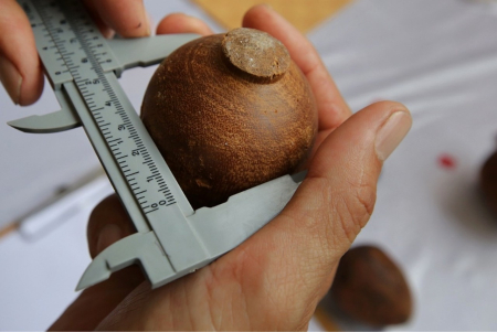 UKUR DIAMETER GASING 