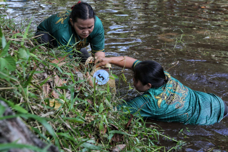 LOMBA MANGARUHI 
