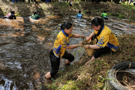 LOMBA MANGARUHI 
