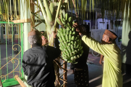 MENDIRIKAN POHON PISANG