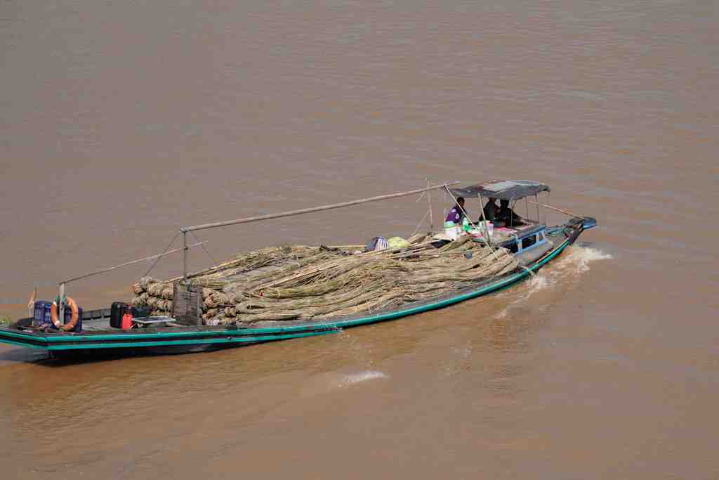 MENGANGKUT ROTAN
