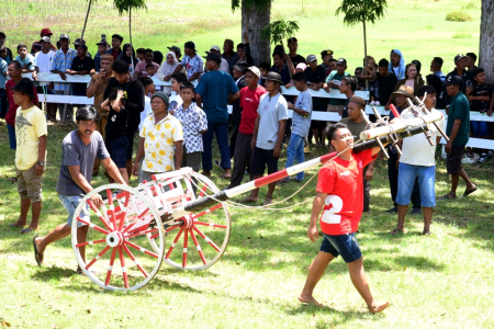 RODA UNTUK KARAPAN SAPI