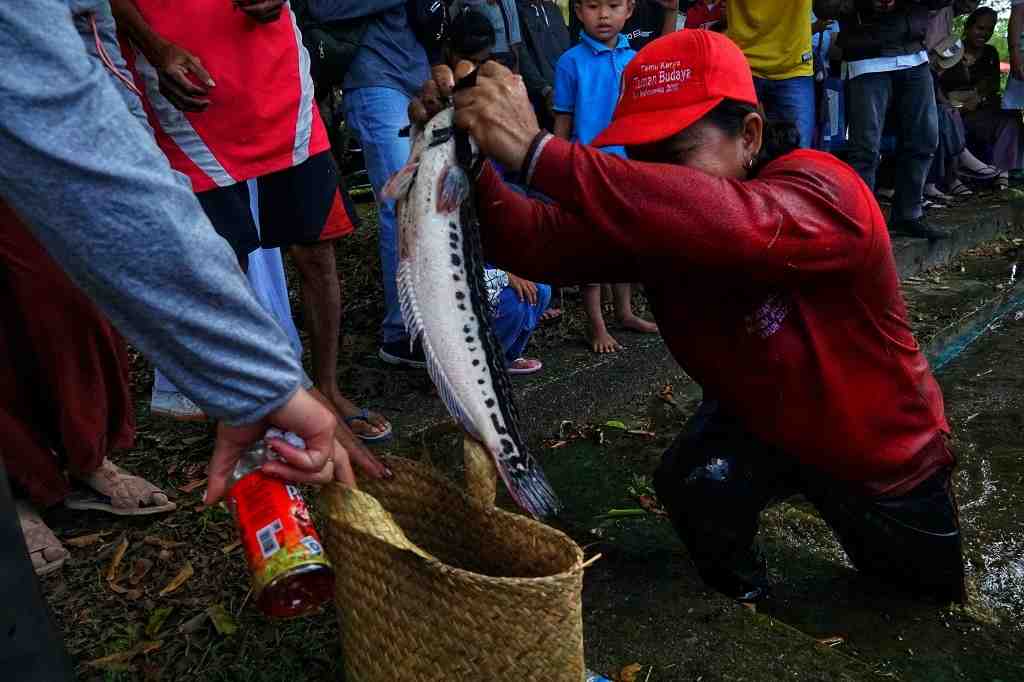 MEMASUKKAN IKAN KE DALAM BAKUL