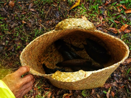TUNJUKKAN HASIL TANGKAPAN IKAN