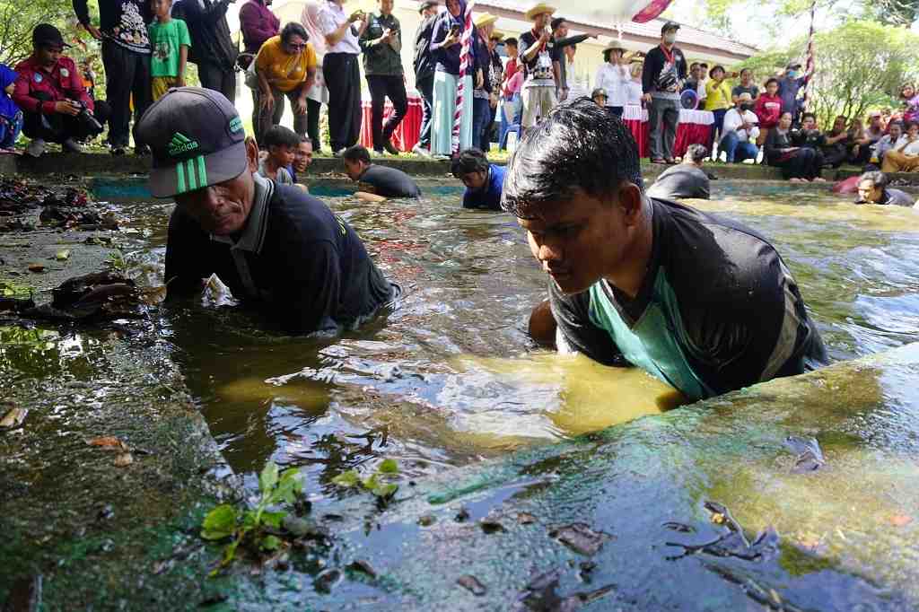 LOMBA MANGARUHI