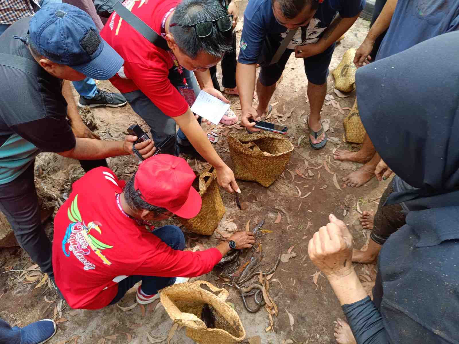 MENGHITUNG TANGKAPAN IKAN