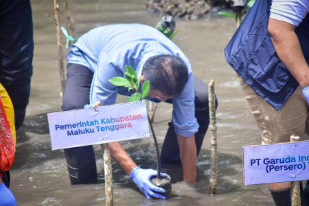 MENANAM MANGROVE di MALUKU TENGGARA