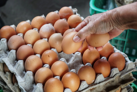 PILIH TELUR AYAM RAS