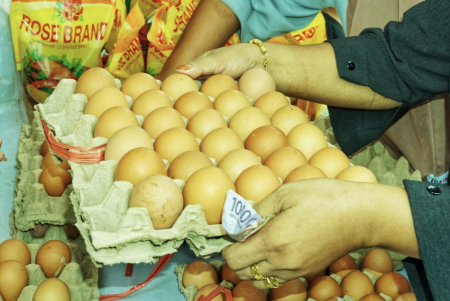 BELI TELUR AYAM RAS