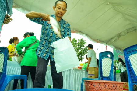 BUNGKUS IKAN PATIN