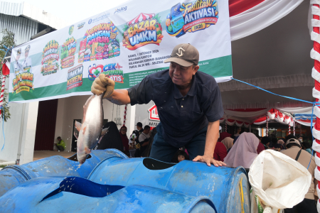 AMBIL IKAN PATIN