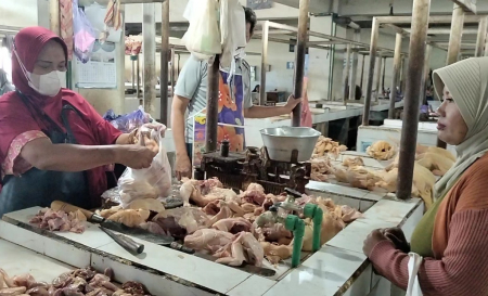 HARGA AYAM POTONG DI BATANG  MASIH TINGGI 