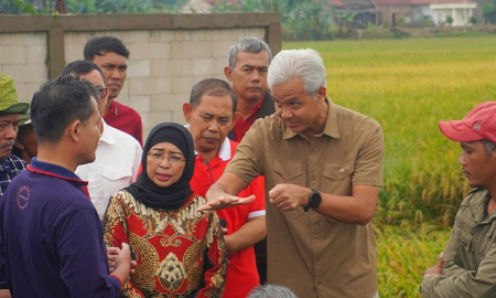 GUBERNUR JATENG TINJAU PANEN RAYA PADI di BATANG