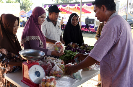 BELI TOMAT