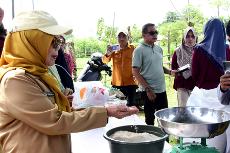 BERAS KUALITAS MEDIUM