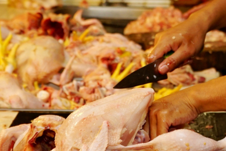BERSIHKAN DAGING AYAM					