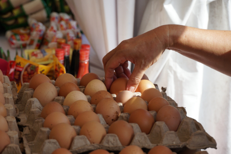 PILIH TELUR AYAM RAS