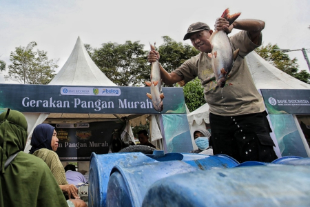 PEDAGANG IKAN PATIN 