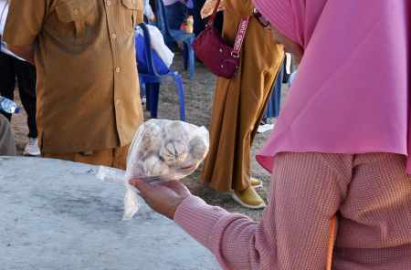 HARGA BAWANG PUTIH NAIK