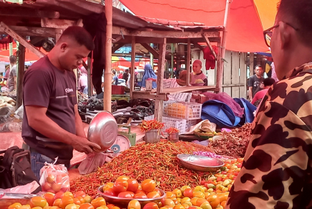 HARGA CABAI TURUN