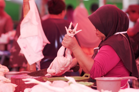 HARGA DAGING AYAM STABIL					