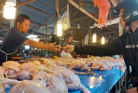 HARGA DAGING AYAM RAS STABIL