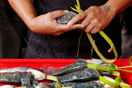 HARGA IKAN MUJAIR NAIK					