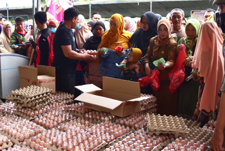 HARGA TELUR AYAM RAS