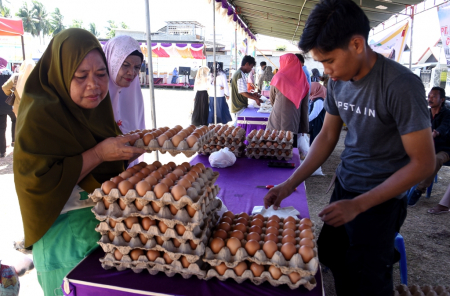 HARGA TELUR STABIL