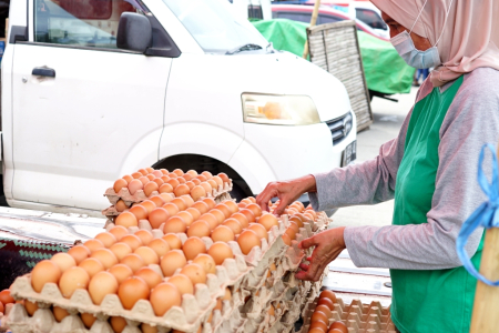 HARGA TELUR STABIL					
